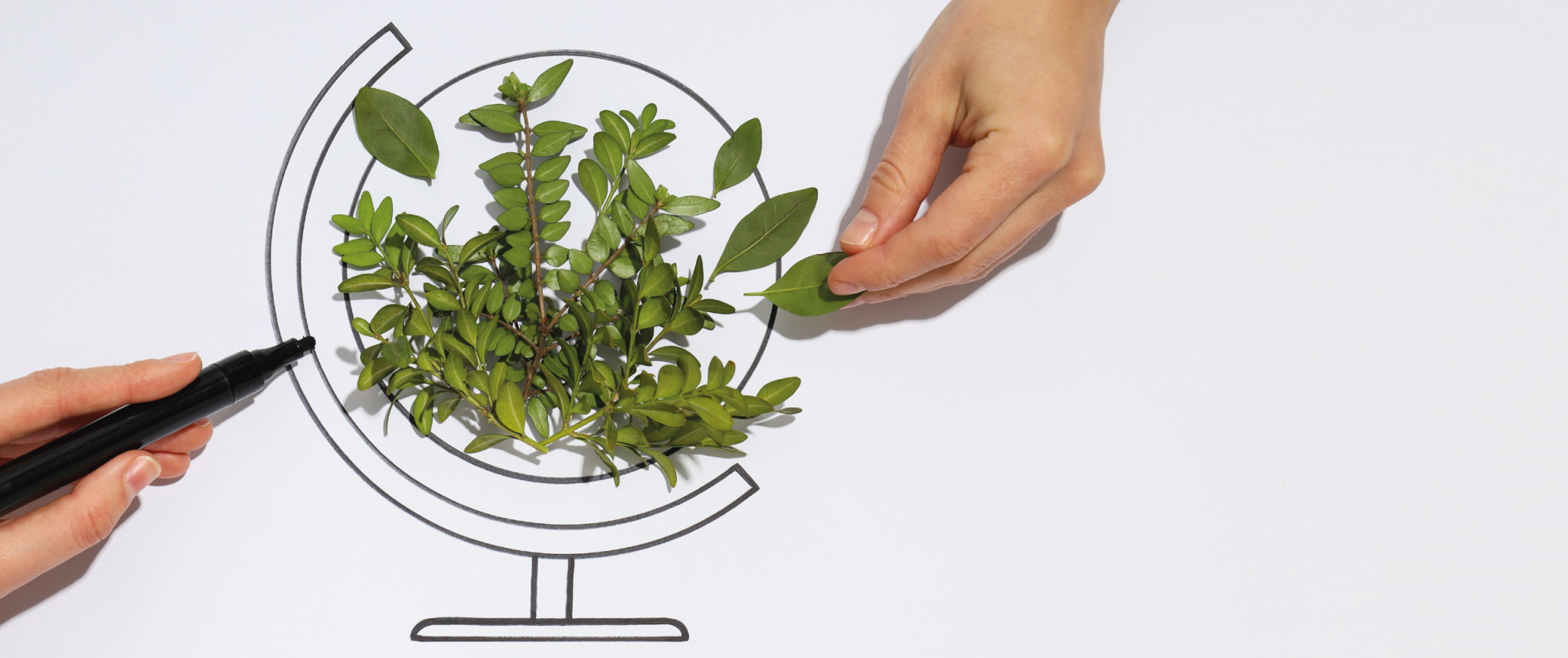 responsabilidad social